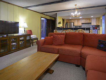 ski in and out  pet friendly 2 bedroom condo crested butte